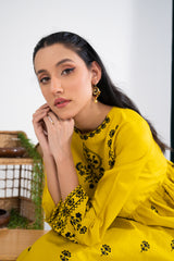 Lawn Embroidered 2PC Dress - LR10